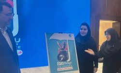 بیمه دی، ریسک‌های بزرگ و انتظار تعامل پایدار با سازمان